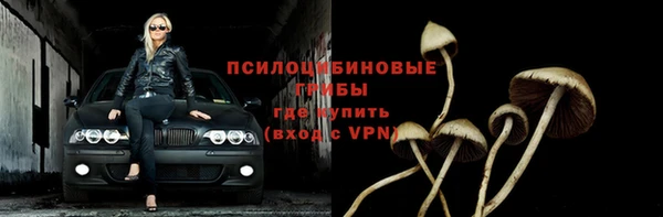mdpv Карпинск