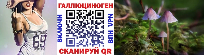 Купить  Белоозёрский  Псилоцибиновые грибы MAGIC MUSHROOMS 